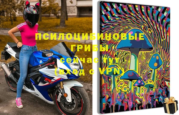 первитин Алексеевка