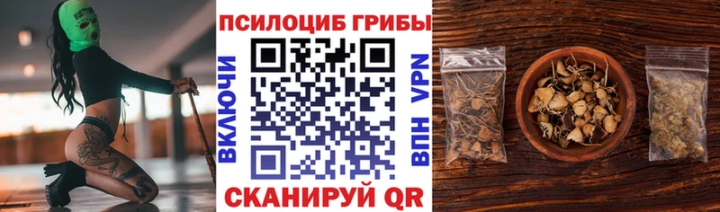 Псилоцибиновые грибы Psilocybine cubensis Сорочинск